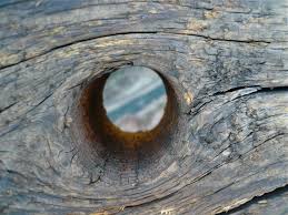 knothole